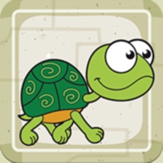 Activities of Childish Turtle