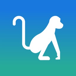 Info On Monkeys