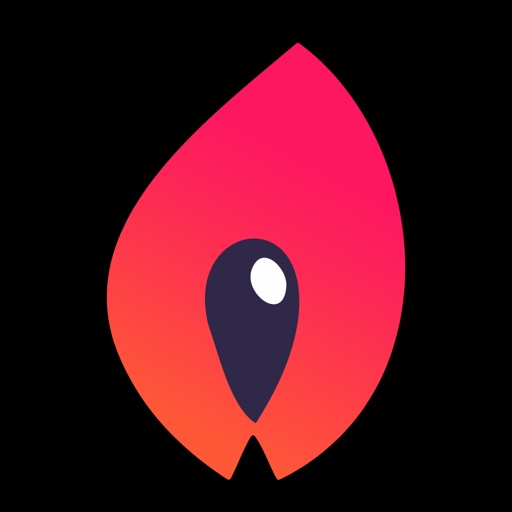 Torch Wallet iOS App