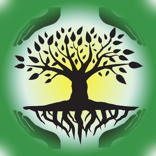 Family Tree Designer Icon
