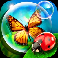 Bugs and Bubbles apk