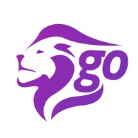 LeoneGo sur PC