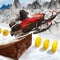 Flippy Jet Ski Snow Race Games