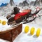 Do you want to enter into the battle of snowmobile mountains racing arena