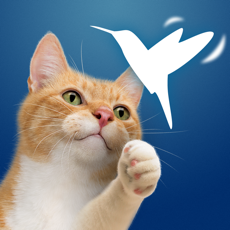 ‎Friskies® Happy Wings