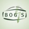 Icon Bogis