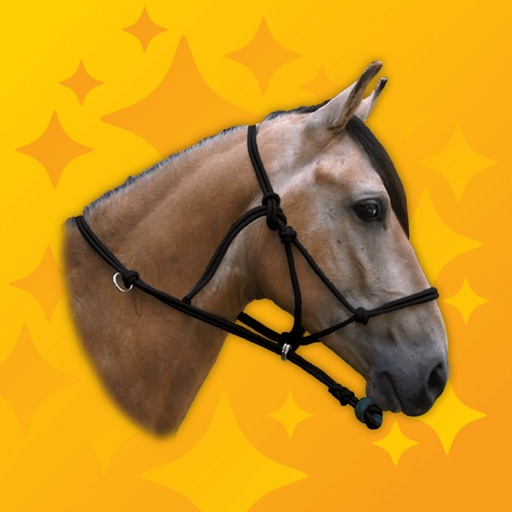 Neigh Pro - Horse Sounds
