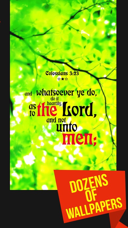 Love Bible Quotes in Daily Use
