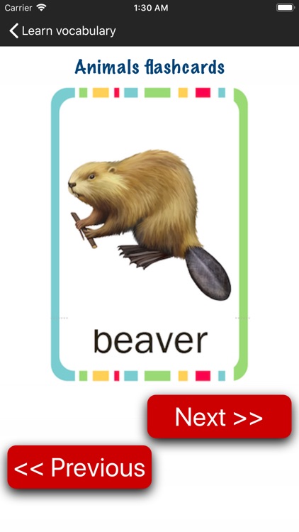 Wild Animals Names in English