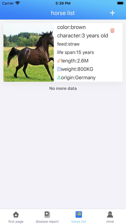 Staff end of the horse farm