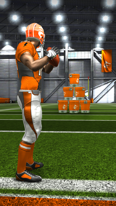 Flick Quarterback 20 screenshot1