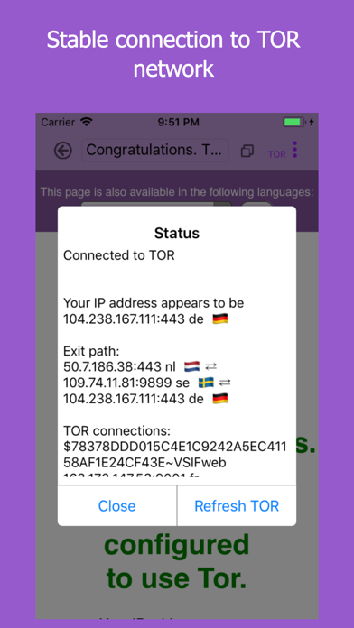 Browser with TOR screenshot 2
