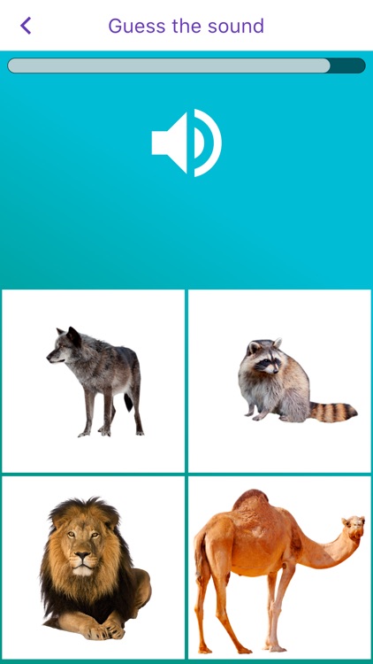 Animal sounds & images screenshot-6