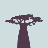 Contacter Baobab App