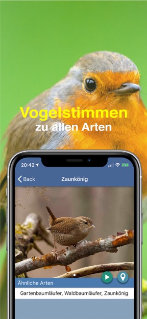 Vogel Id Gartenvögel bestimmen(圖6)-速報App