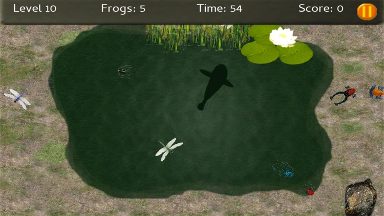 Baby Frogs screenshot-4