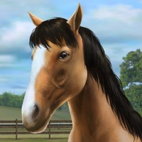 My Horse apk