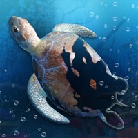Idle Sea World! pour PC