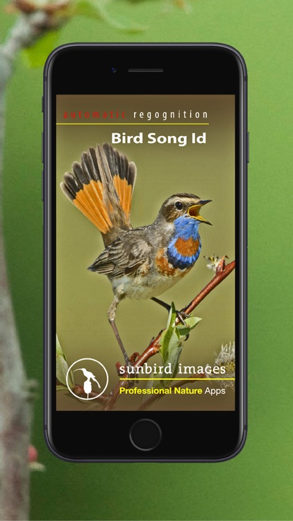 Bird Song Id UK