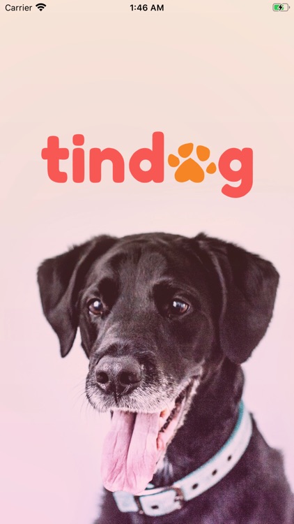 tindog