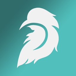 Feather: Meet & Explore