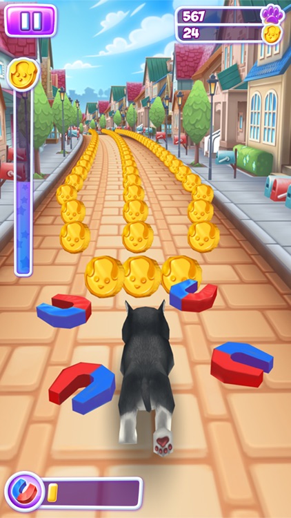 Pet Run - Puppy Dog game