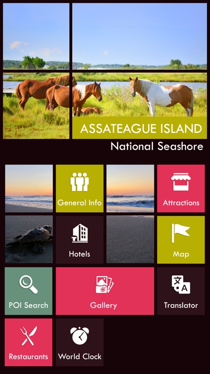 Assateague Island