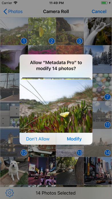 Metadata Pro Metadata Pro