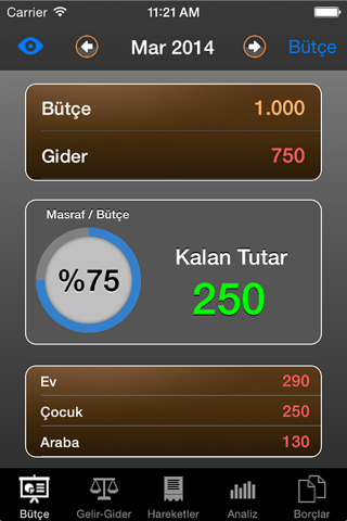 iBütçe - náhled