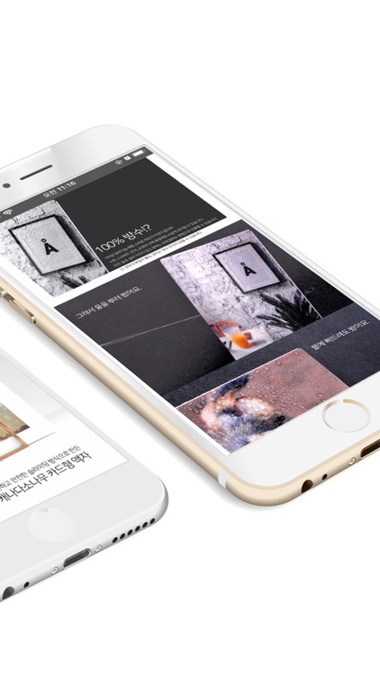 SD포토 : 가치에 가치를 더하다