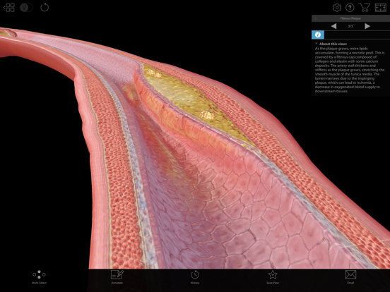 Physiology & Pathology screenshot 2