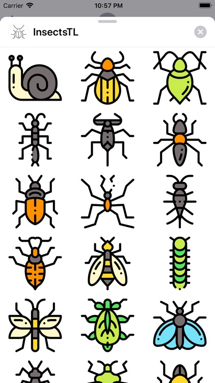InsectsTL