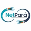 NetPara
