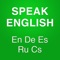 Icon Basic English conversation
