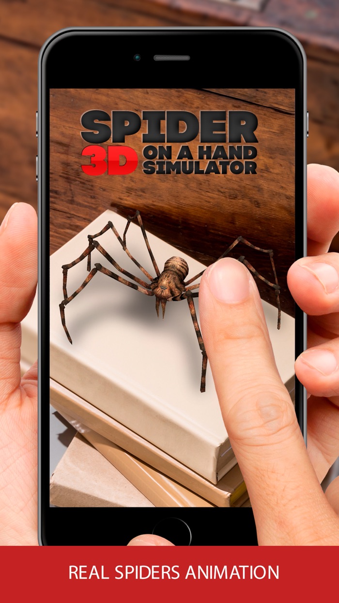 3D spider on a hand simulator