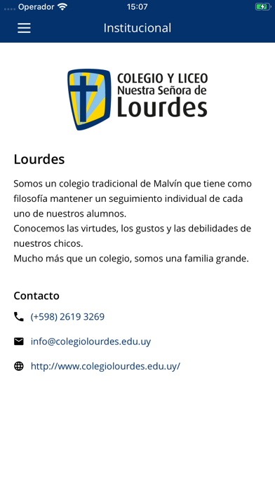 Colegio y Liceo Lourdes screenshot 3