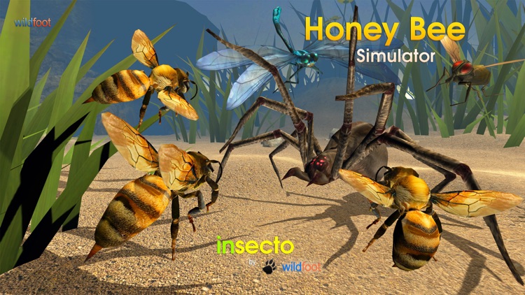 Honey Bee Simulator screenshot-0
