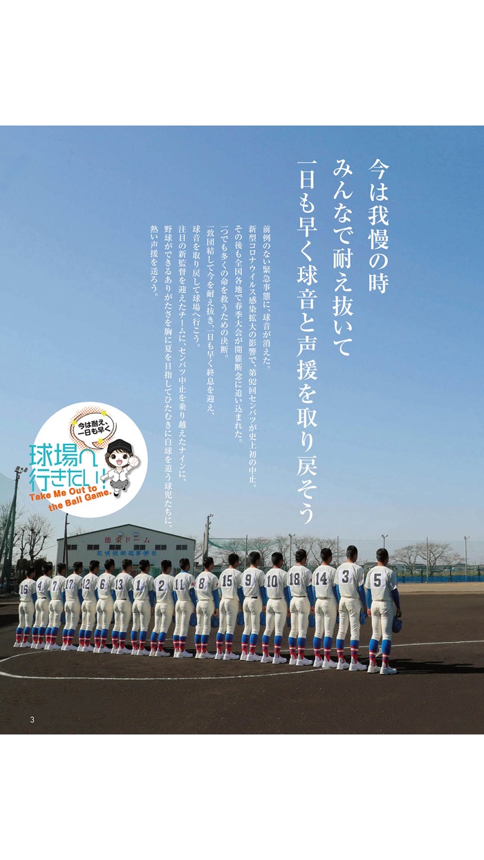 報知高校野球（ほうちこうこうやきゅう）