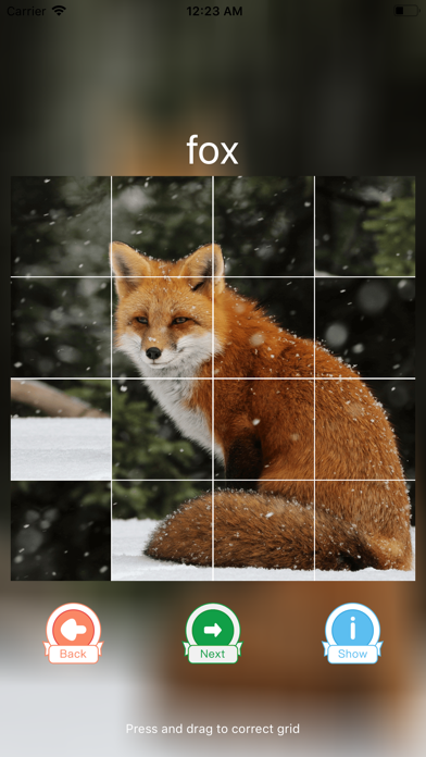 Animal Puzzle Training screenshot 2