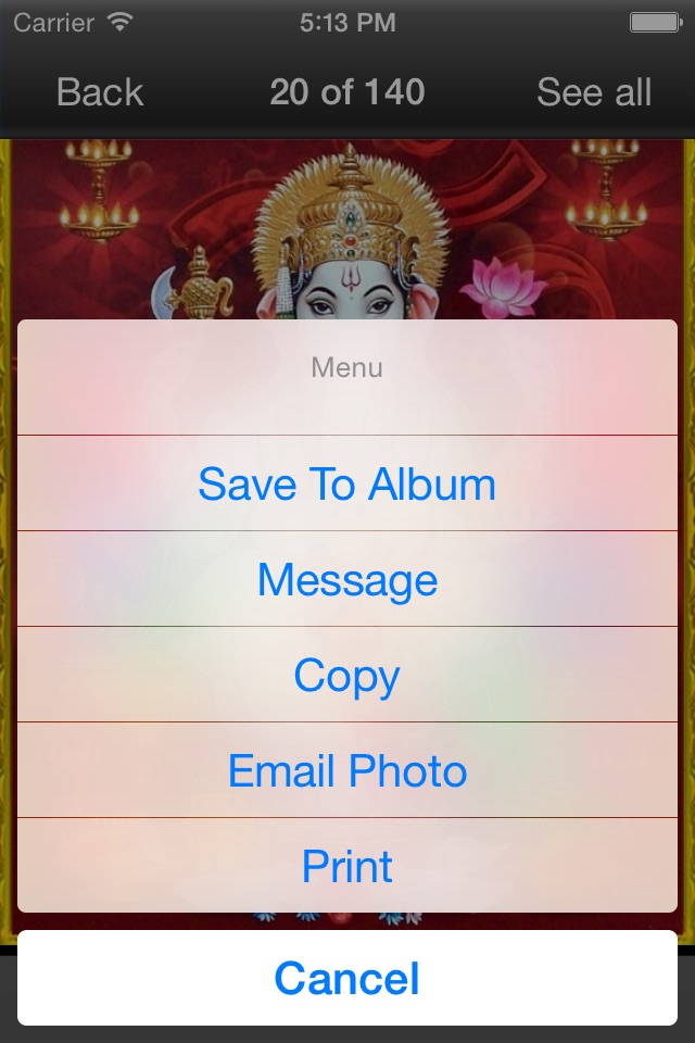 Ganesh Pics screenshot 4
