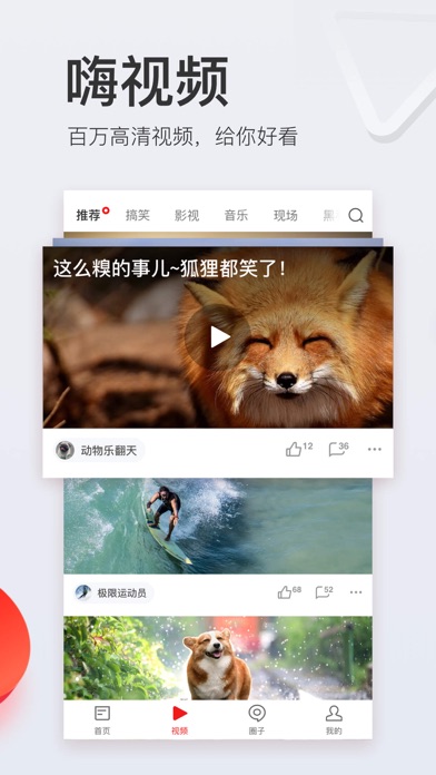 网易新闻(专业版) screenshot1