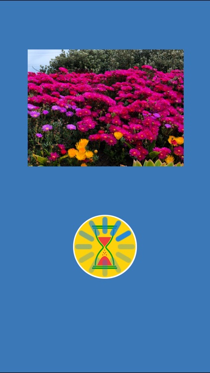 Image Web Search