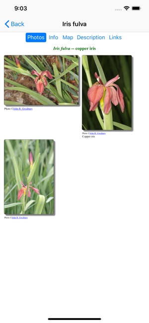 Arkansas Wildflowers(圖3)-速報App