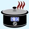 Icon Slow Cooker Temperature& Timer