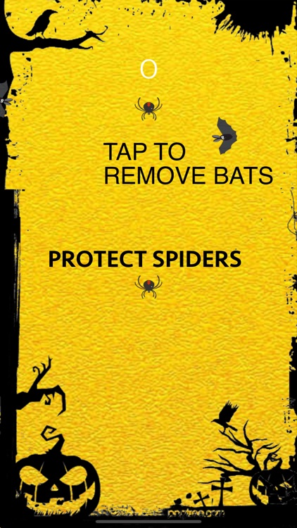 Spider Vs Bat