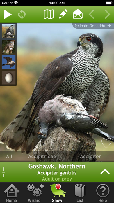 How to cancel & delete Birds of Britain and Europe from iphone & ipad 1