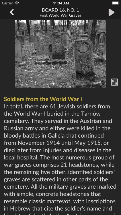 Jewish Cemetery in Tarnow screenshot-3