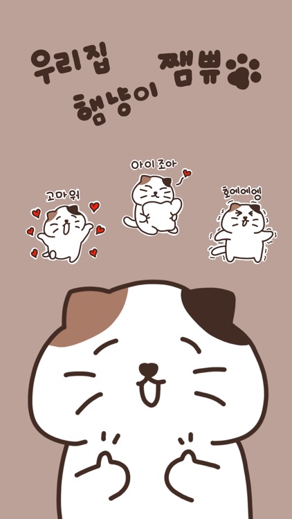우리집 햄냥이 쨈쀼