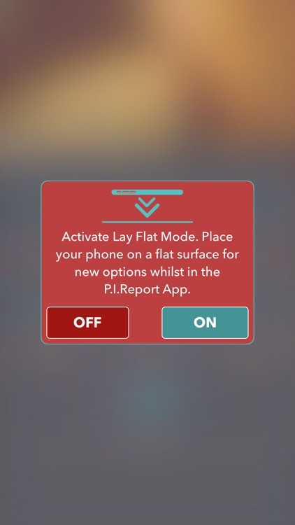 P.I. Report screenshot-7
