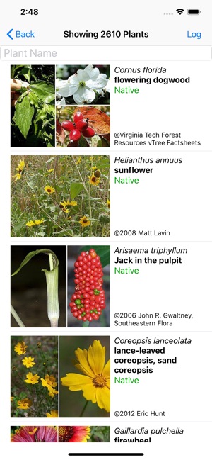 East Texas Wildflowers(圖1)-速報App